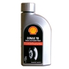 Shell Donax YB